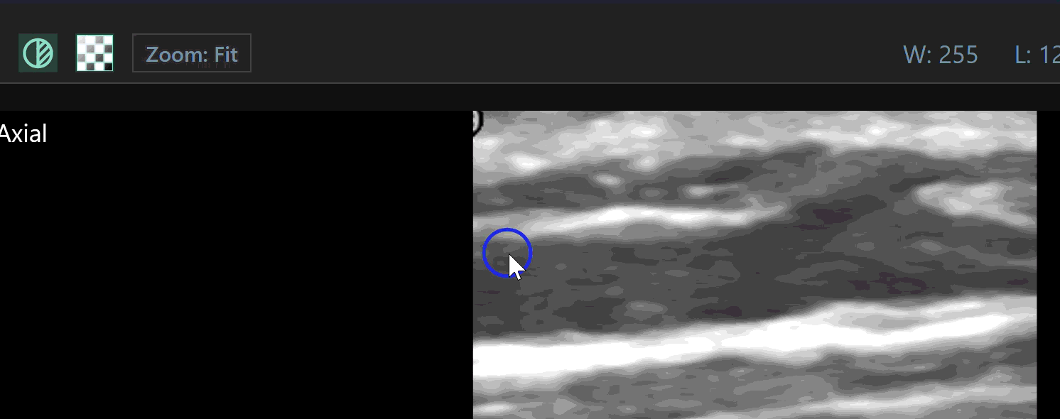 Segmentation Demonstration